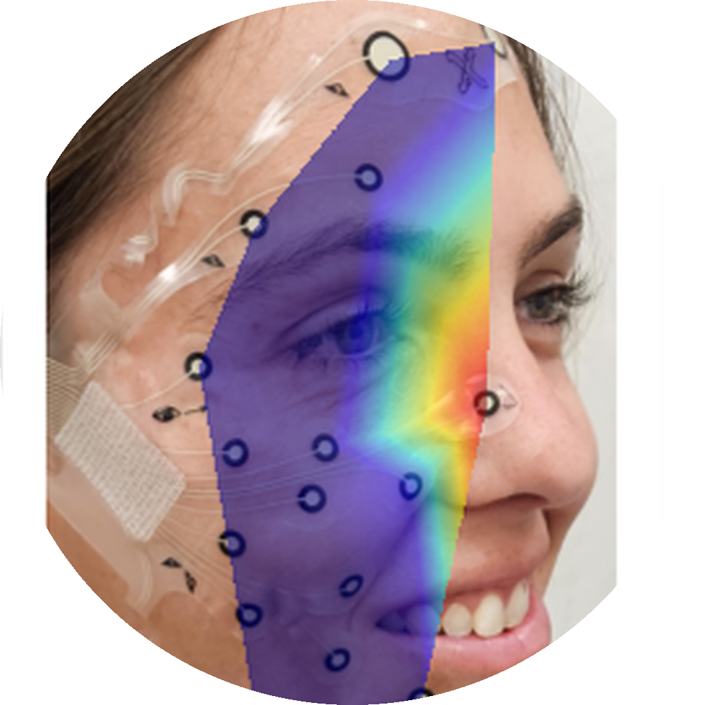 Facial expressions analysis